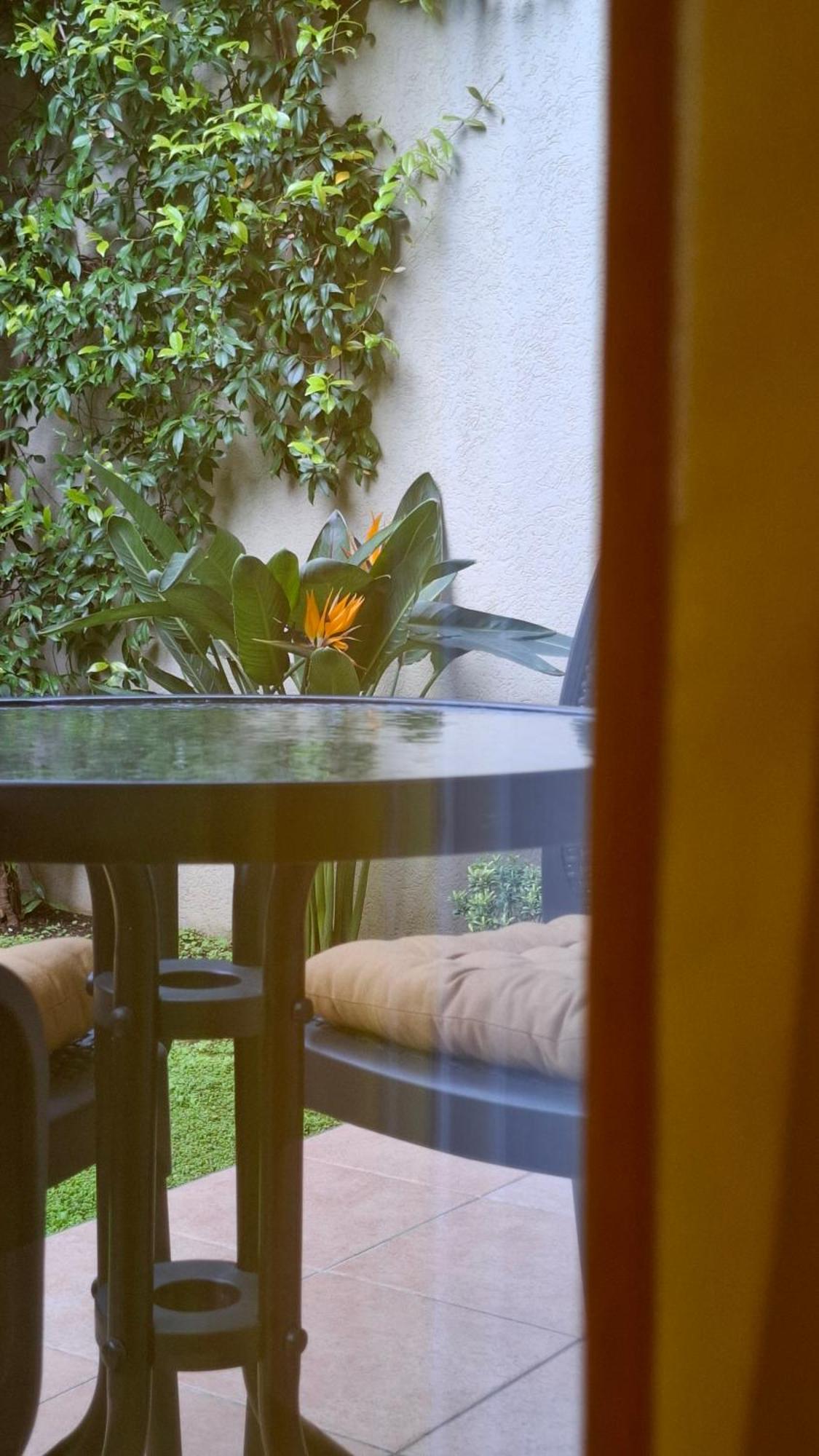 Apartman Stijepcic Herceg Novi Zewnętrze zdjęcie