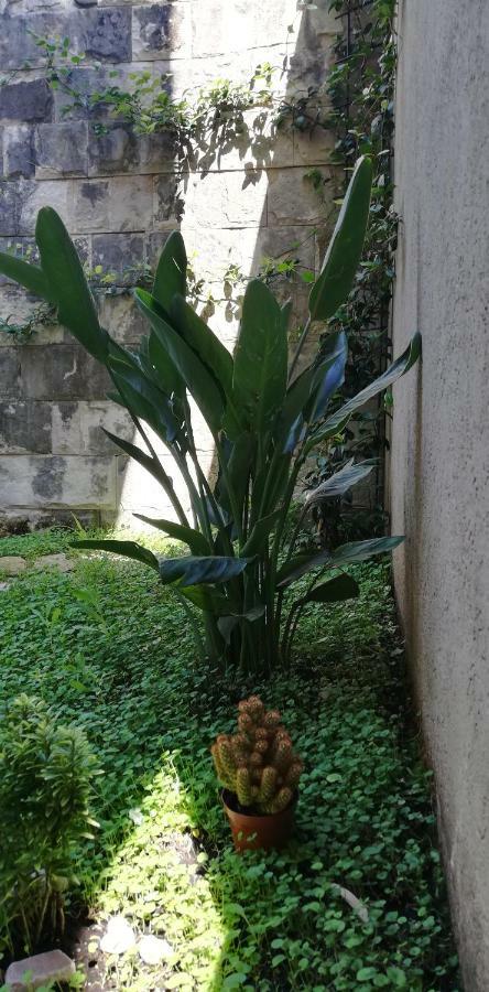Apartman Stijepcic Herceg Novi Zewnętrze zdjęcie